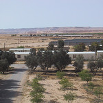 Kibbutz Sde Boker