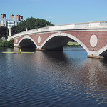 Rower in the Charles River