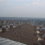 Roof of St. Peter's